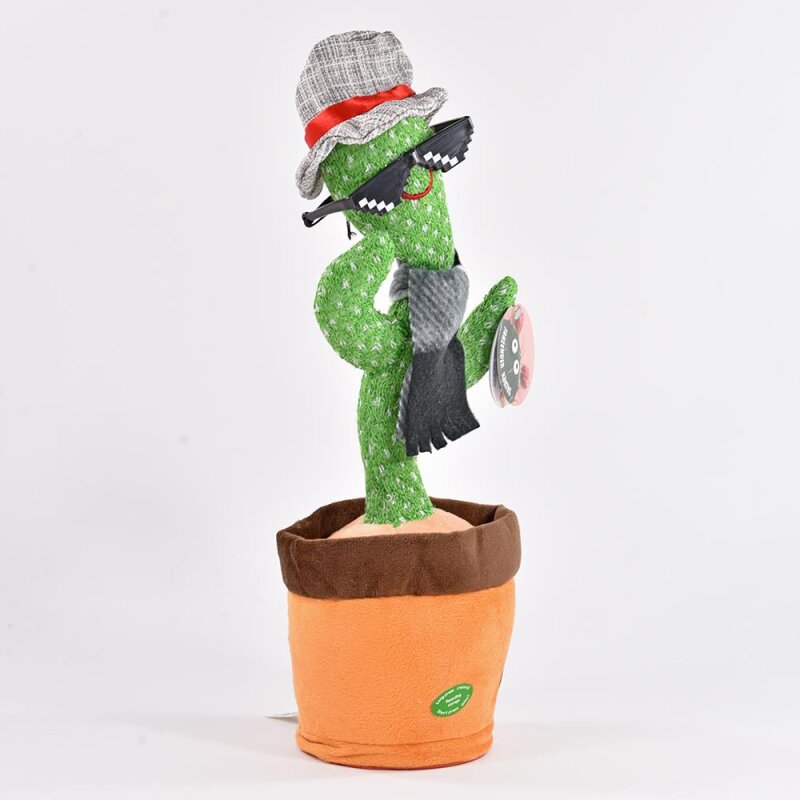 santa rita kaktus Opuntia violacea main image 1